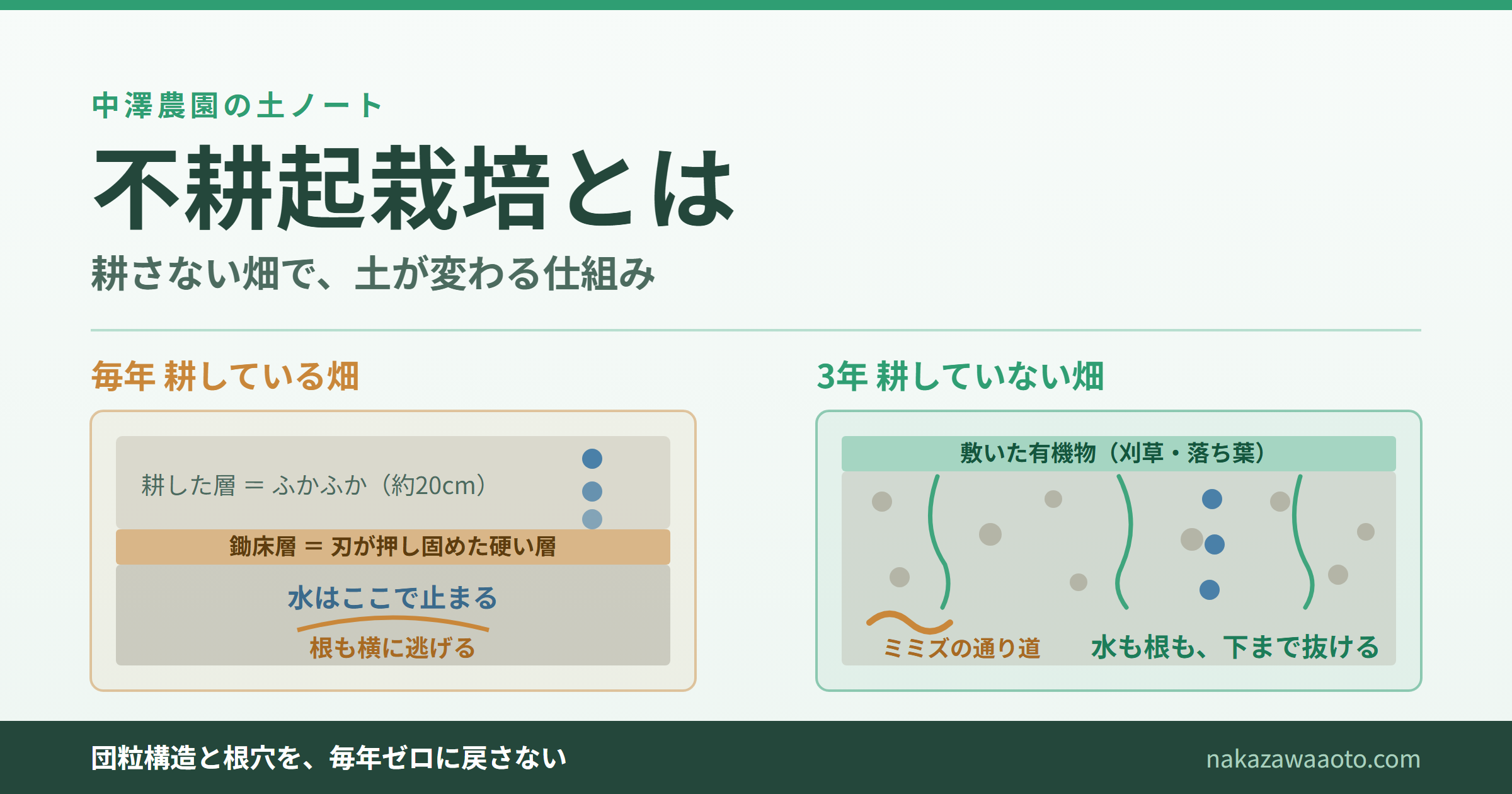 不耕起栽培とは