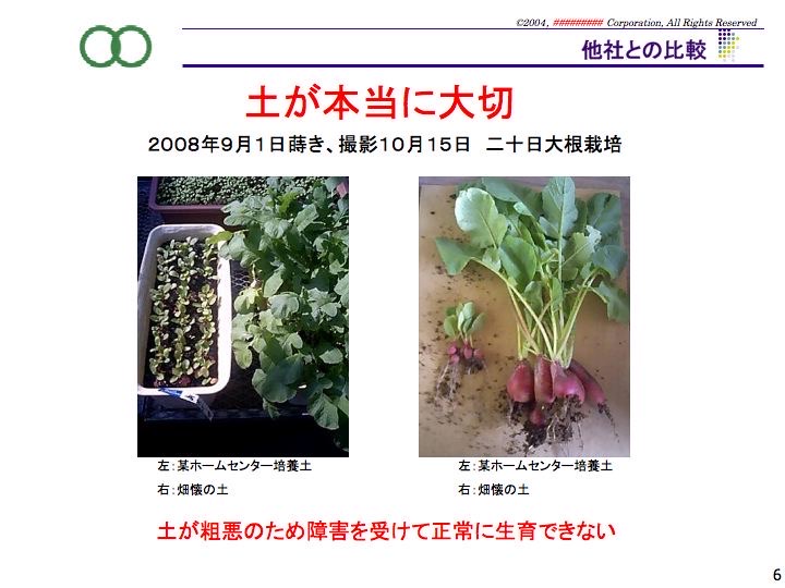同じ日に播いた二十日大根を培養土別に比較した写真。左は某ホームセンター培養土、右は畑懐の土